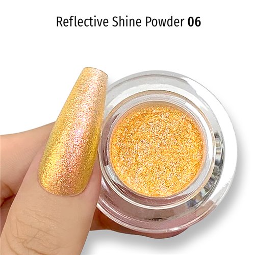 Reflective Shine Powder 06