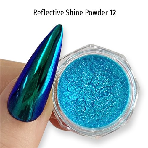 Reflective Shine Powder 12