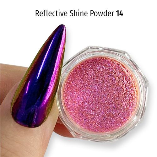 Reflective Shine Powder 14