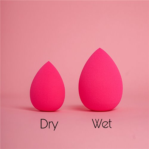 Makeup Sponge