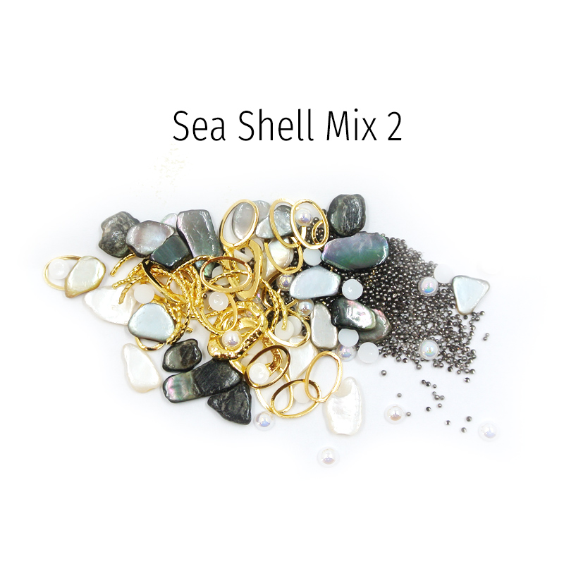 Διακοσμητικά Sea Shell 02