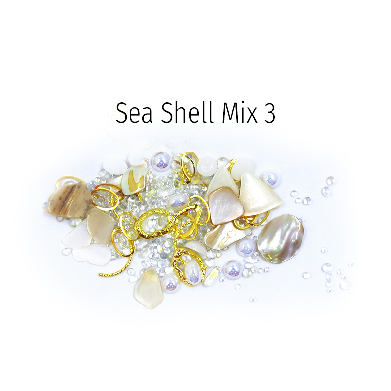 Διακοσμητικά Sea Shell 03