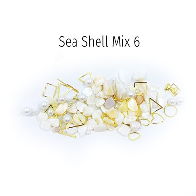 Διακοσμητικά Sea Shell 06