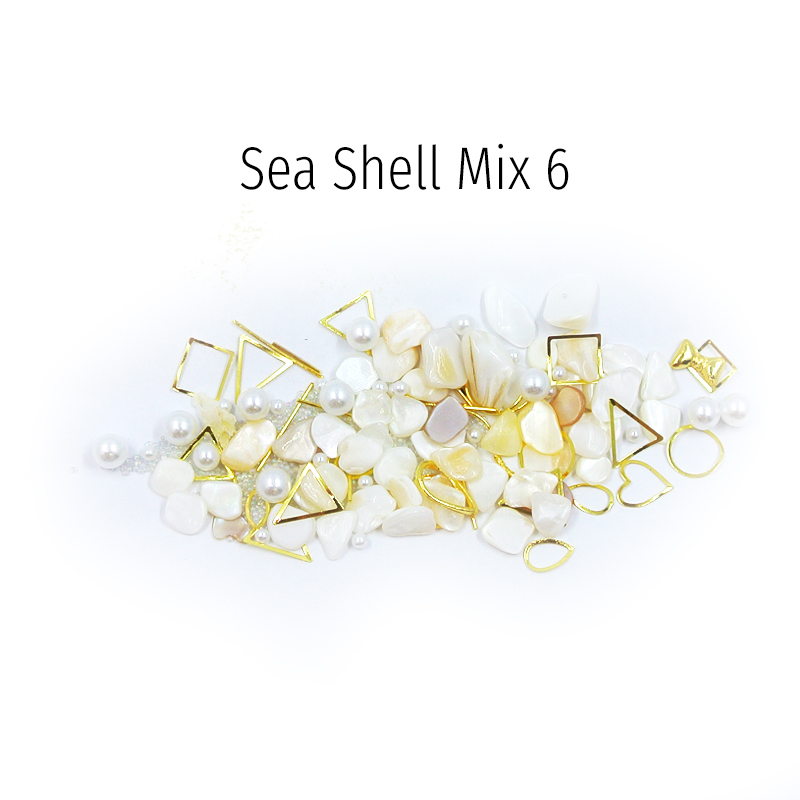 Διακοσμητικά Sea Shell 06