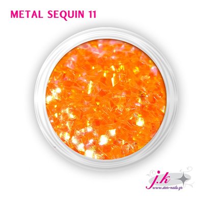 Metal Sequin 11