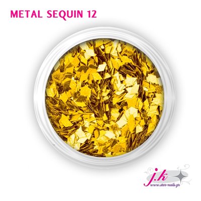 Metal Sequin 12