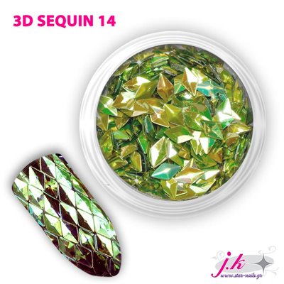 3D Sequin 14