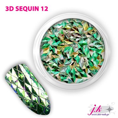 3D Sequin 12