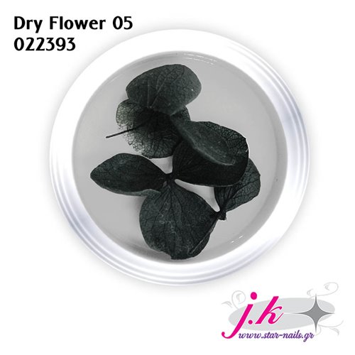 DRY FLOWER 05