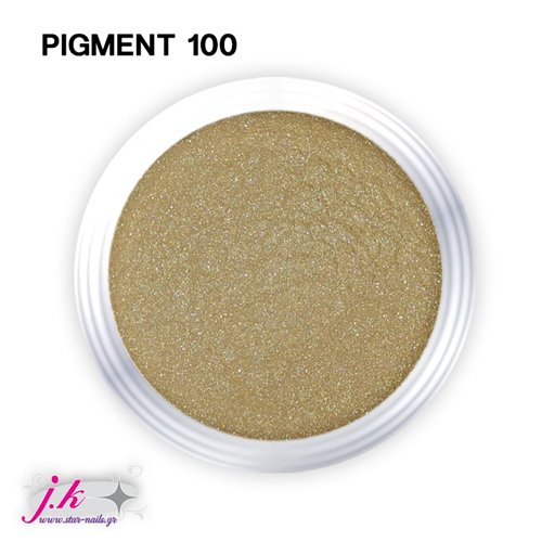 PIGMENT 100