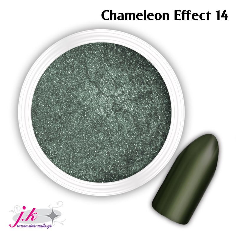 CHAMELEON EFFECT 14